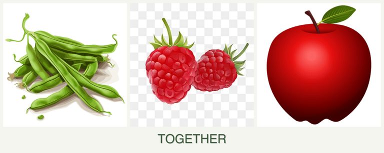 Can you plant beans, raspberries and apples together?