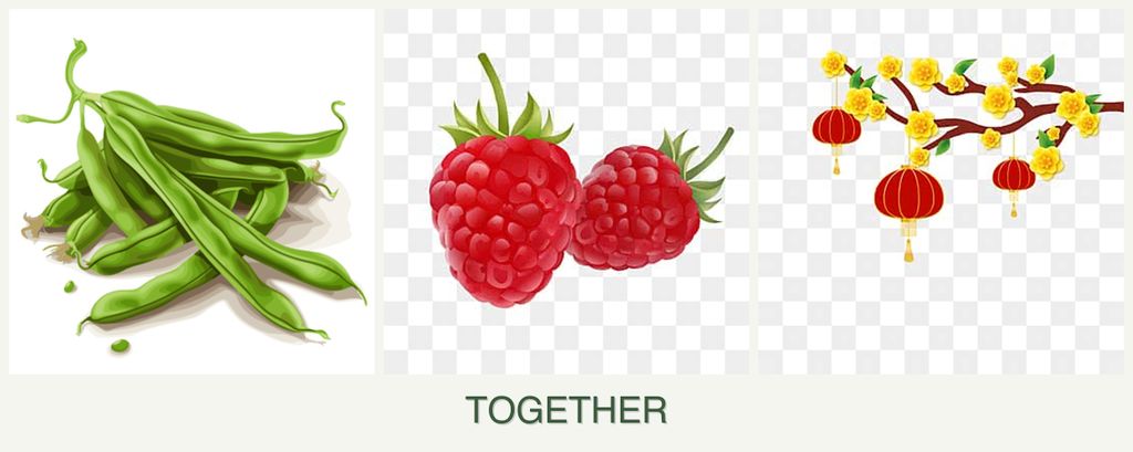Can you plant beans, raspberries and apricots together?