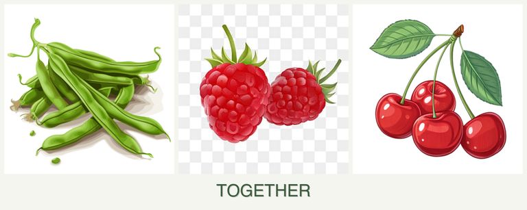Can you plant beans, raspberries and cherries together?