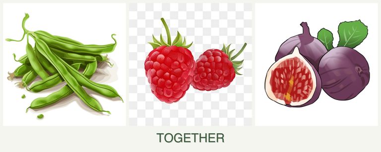 Can you plant beans, raspberries and figs together?