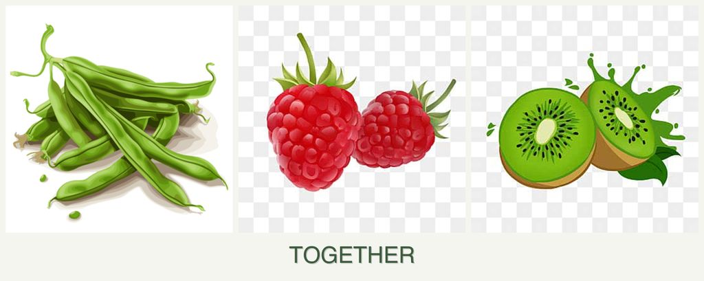 Can you plant beans, raspberries and kiwi together?