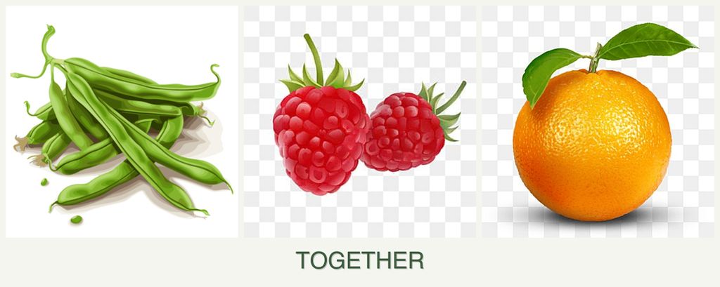 Can you plant beans, raspberries and oranges together?