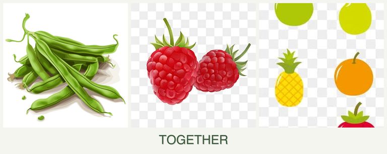 Can you plant beans, raspberries and pears together?