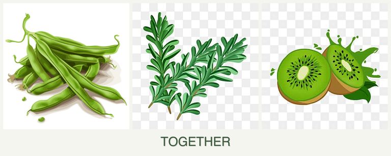 Can you plant beans, rosemary and kiwi together?