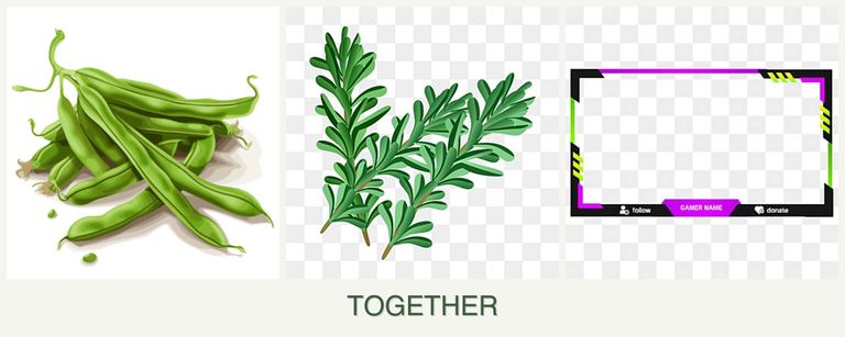 Can you plant beans, rosemary and limes together?
