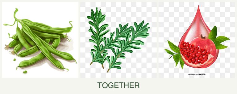 Can you plant beans, rosemary and pomegranates together?