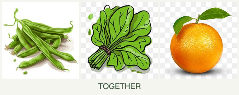 Can you plant beans, spinach and oranges together?
