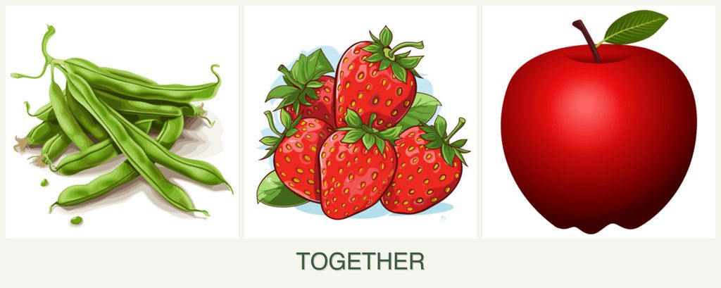 Can you plant beans, strawberries and apples together?