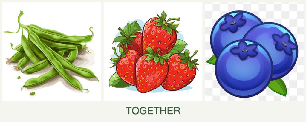Can you plant beans, strawberries and blueberries together?