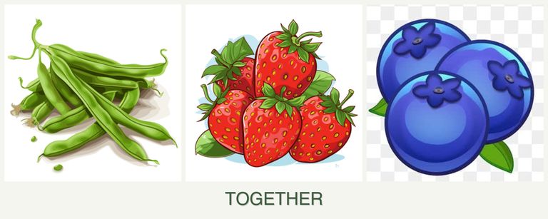 Can you plant beans, strawberries and blueberries together?