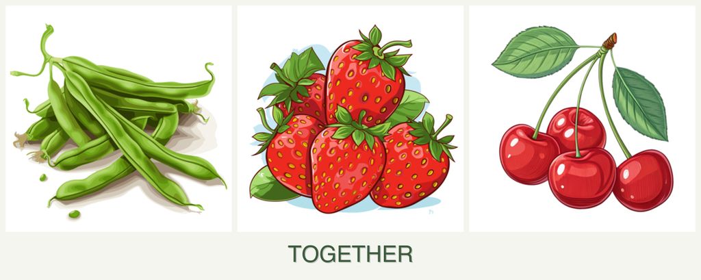Can you plant beans, strawberries and cherries together?