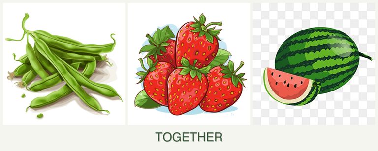 Can you plant beans, strawberries and melons together?