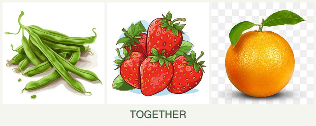 Can you plant beans, strawberries and oranges together?