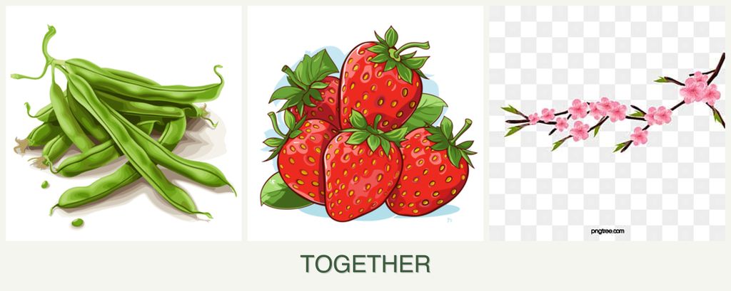 Can you plant beans, strawberries and peaches together?
