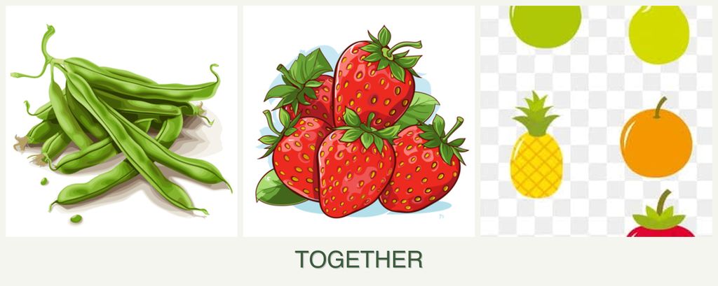 Can you plant beans, strawberries and pears together?