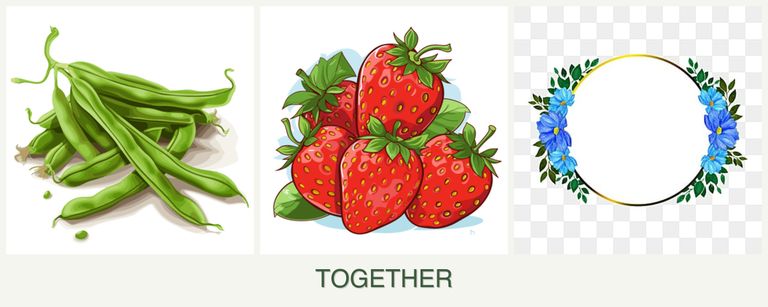 Can you plant beans, strawberries and zinnias together?