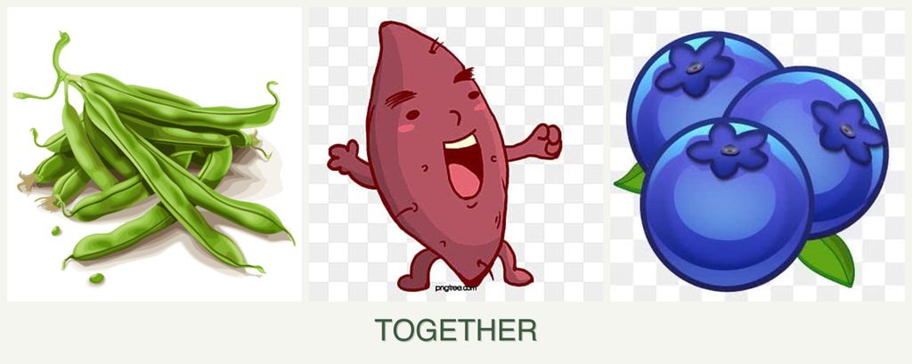 Can you plant beans, sweet potatoes and blueberries together?