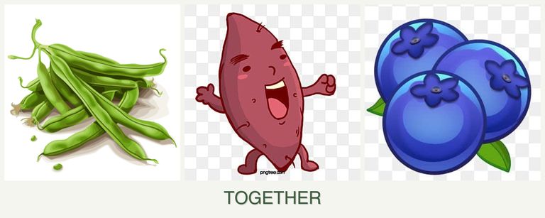 Can you plant beans, sweet potatoes and blueberries together?