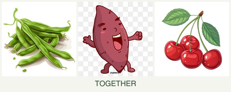 Can you plant beans, sweet potatoes and cherries together?