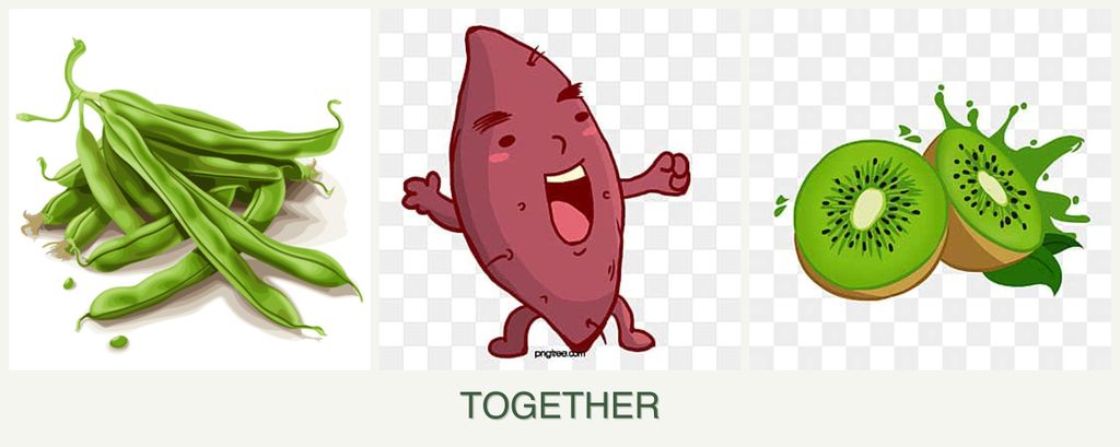 Can you plant beans, sweet potatoes and kiwi together?