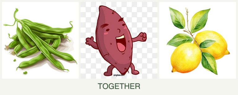 Can you plant beans, sweet potatoes and lemons together?