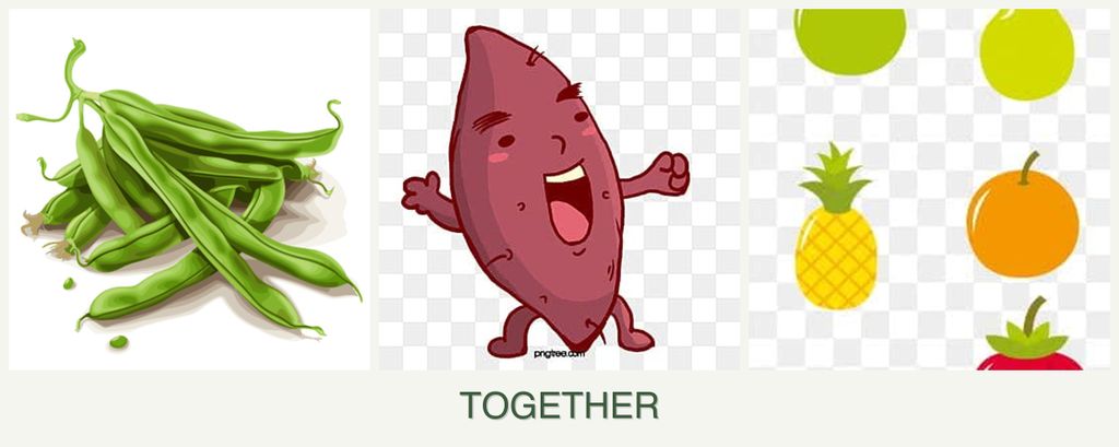 Can you plant beans, sweet potatoes and pears together?