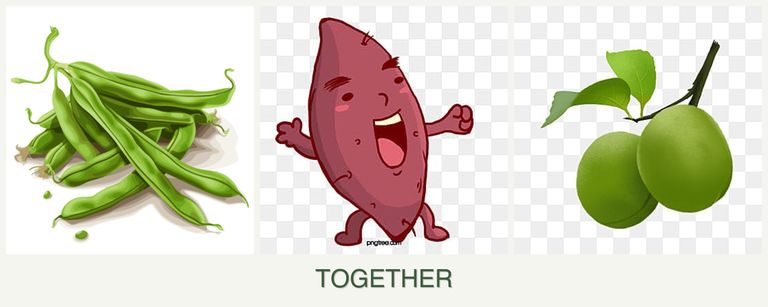 Can you plant beans, sweet potatoes and plums together?