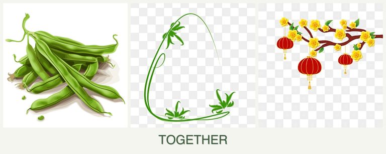 Can you plant beans, tarragon and apricots together?