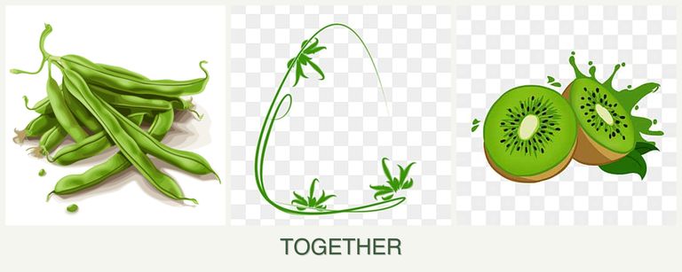 Can you plant beans, tarragon and kiwi together?