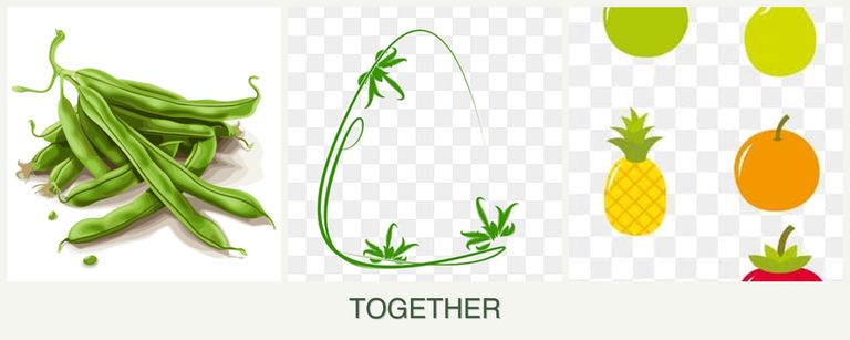 Can you plant beans, tarragon and pears together?