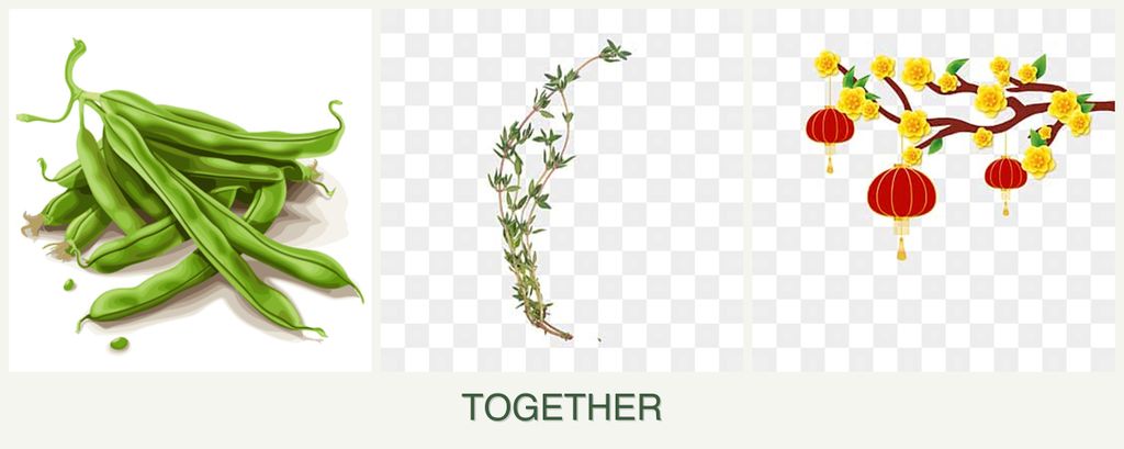 Can you plant beans, thyme and apricots together?