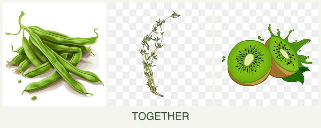 Can you plant beans, thyme and kiwi together?