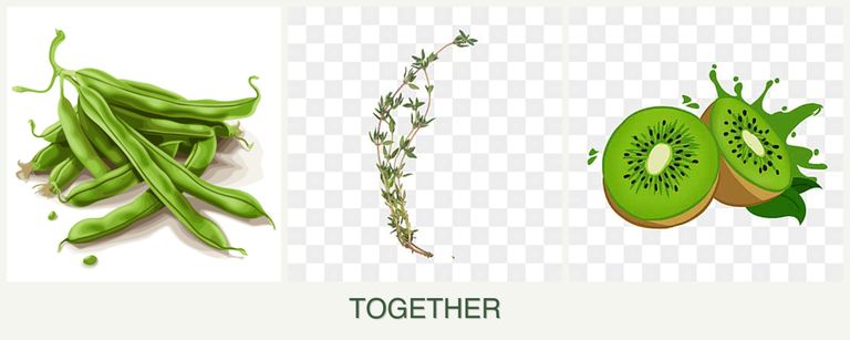 Can you plant beans, thyme and kiwi together?