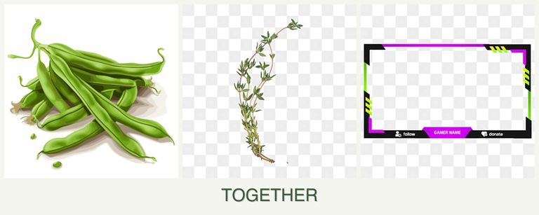 Can you plant beans, thyme and limes together?