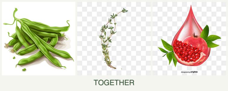 Can you plant beans, thyme and pomegranates together?