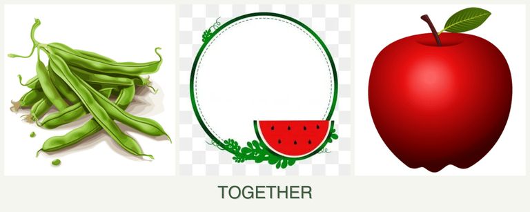 Can you plant beans, watermelons and apples together?