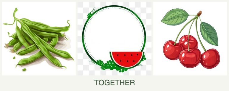 Can you plant beans, watermelons and cherries together?