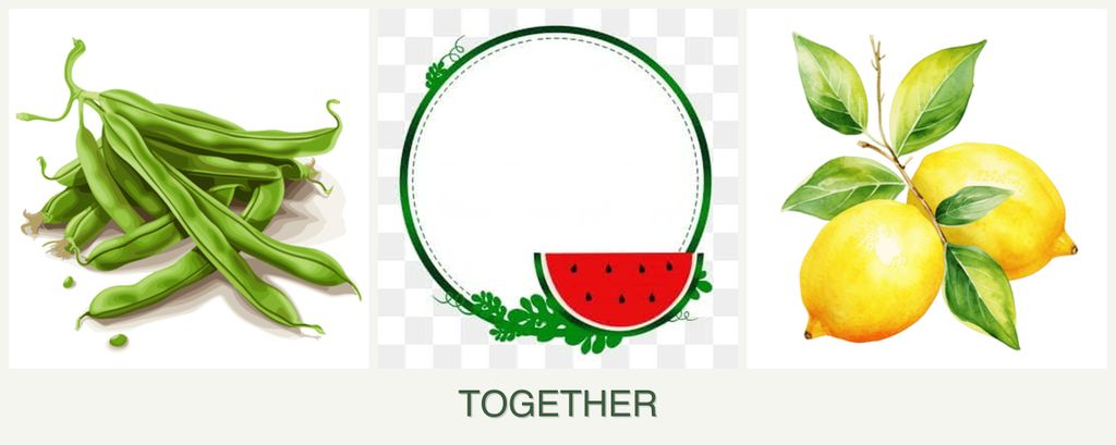 Can you plant beans, watermelons and lemons together?