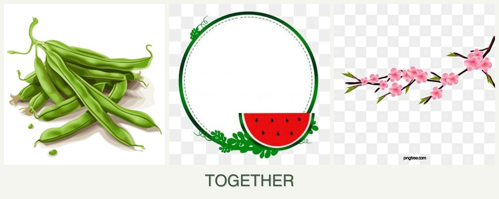 Can you plant beans, watermelons and peaches together?