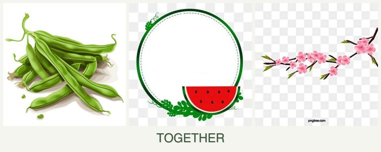 Can you plant beans, watermelons and peaches together?