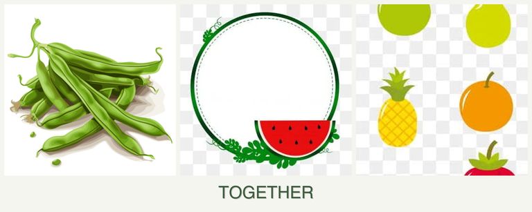 Can you plant beans, watermelons and pears together?