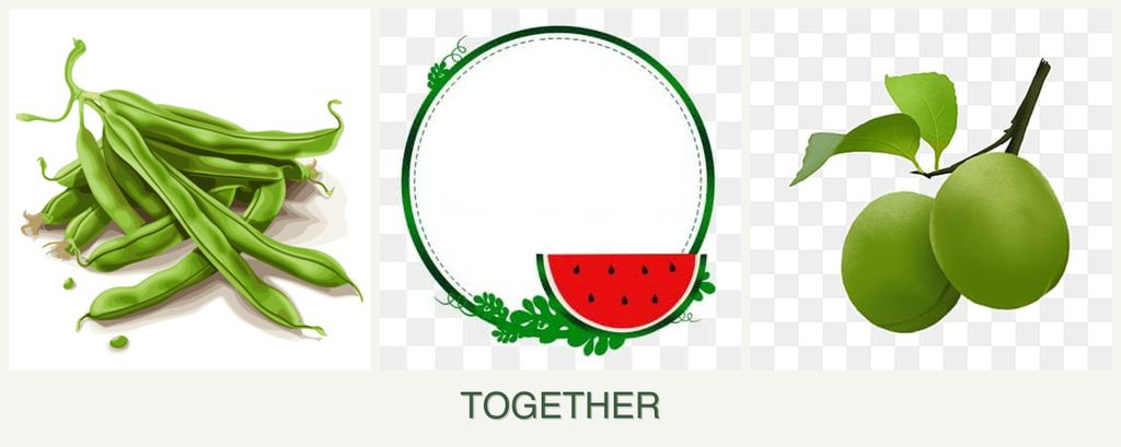 Can you plant beans, watermelons and plums together?