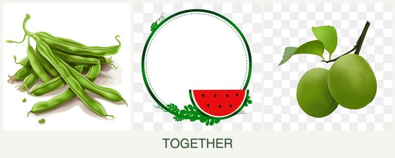 Can you plant beans, watermelons and plums together?