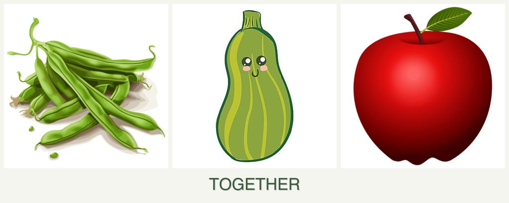 Can you plant beans, zucchini and apples together?