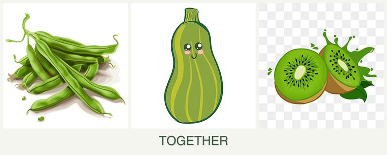 Can you plant beans, zucchini and kiwi together?