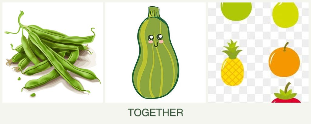 Can you plant beans, zucchini and pears together?