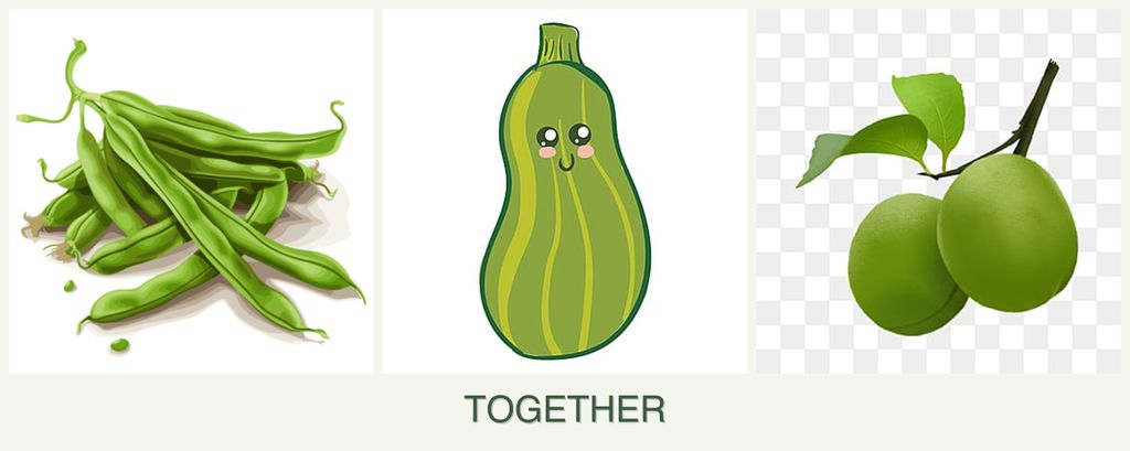 Can you plant beans, zucchini and plums together?