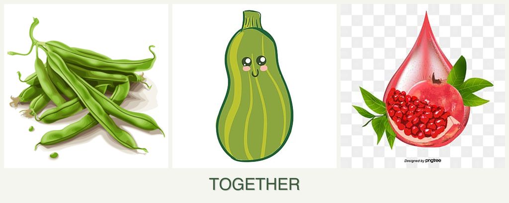 Can you plant beans, zucchini and pomegranates together?