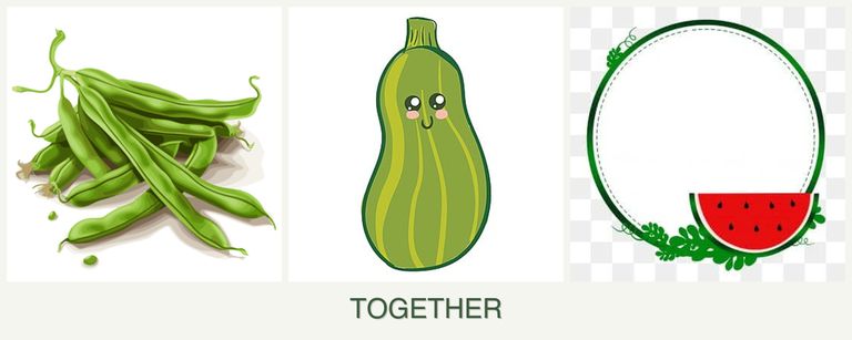 Can you plant beans, zucchini and watermelons together?
