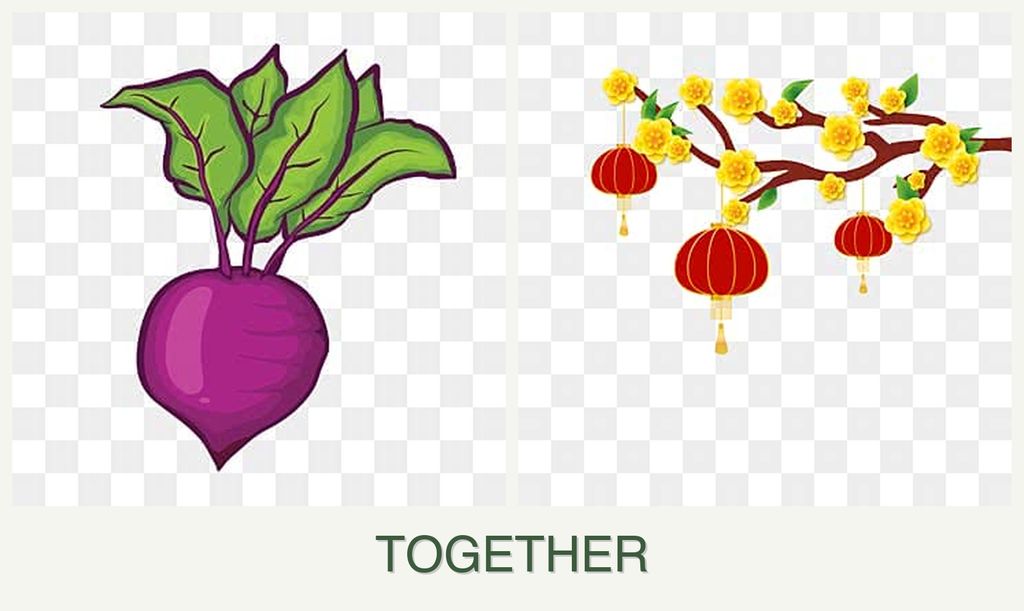 Can you plant beets and apricots together?